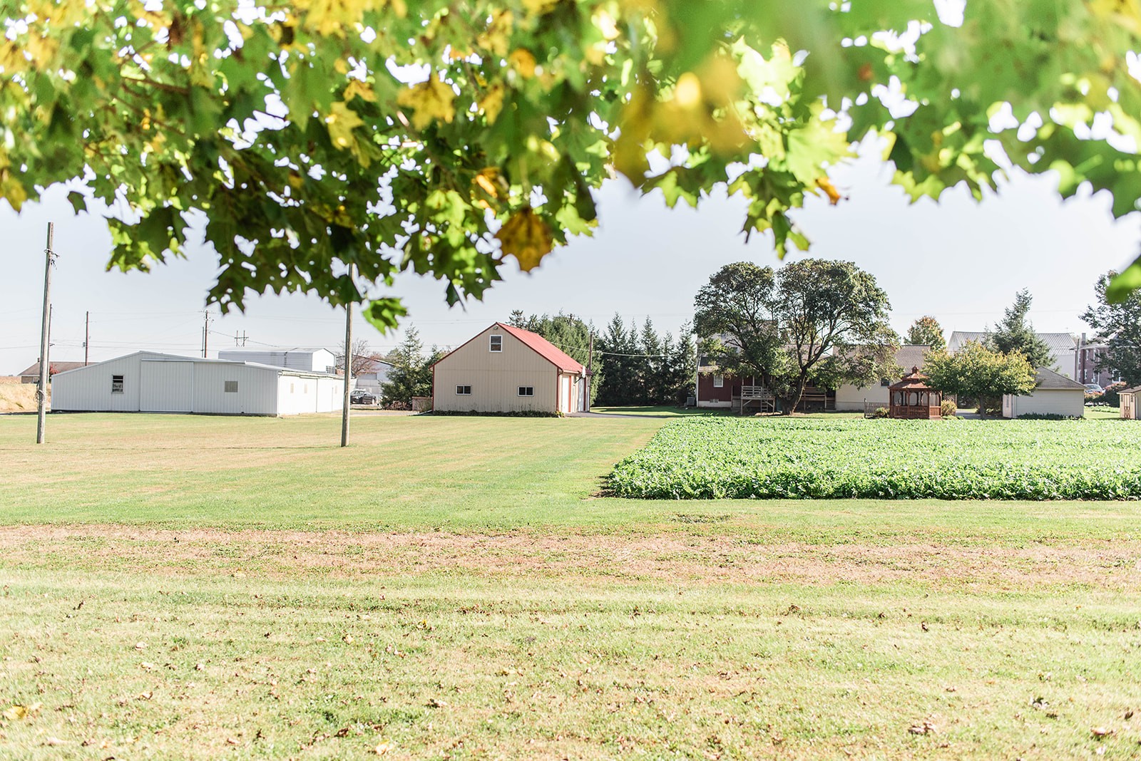 Hurst Auction Stauffer Auctioneers